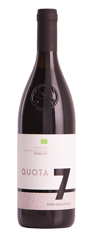 Merlot DOC Venezia BIO