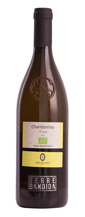 Chardonnay DOC Venezia